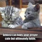 Atheist Cat