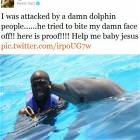 Attacked By A Dolphin