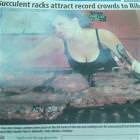 Attracting Attention