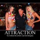 Attraction