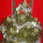 Awsome Xmas Tree