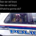 Baaad Boys