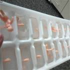 Baby Ice Cubes