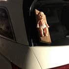 Baby On Board