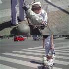 Baby Stroller