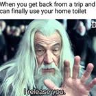 Back From A Trip