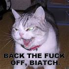 Back Off Cat