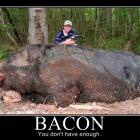 Bacon