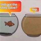 Bad Day