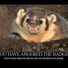 Badger Is Angry