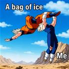 Bag Of Ice