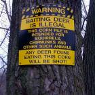 Baiting Deer Is Illegal