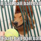 Ball Ball