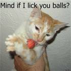 Ball Licking