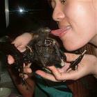 Bat Licker