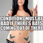 Bats