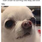 Be Cool Now