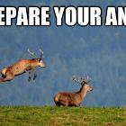 Be Prepared