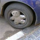 Bear-rims