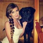 Beautiful Labrador Retriever