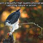Beautiful Photo