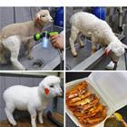 Beautiful Transformation