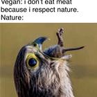 Because Nature
