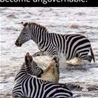 Become