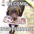 Become Ungovernable