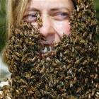 Bee Freak