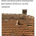 Before 10am