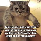 Before You Get Mad