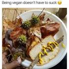 Being-a-vegan
