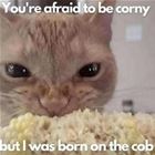 Being Corny