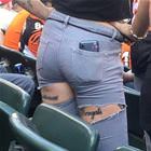 Bengals Fan