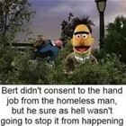 Bert