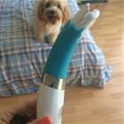 Best Chew Toy Ever
