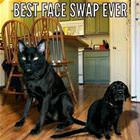 Best Face Swap Ever