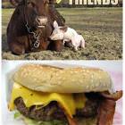 Best Friends Forever