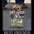 Best Friends