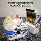 Best Gaming Mouse