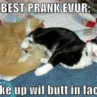 Best Prank
