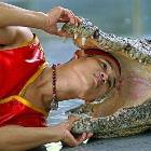 Bet The Gator Wins