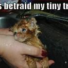 Betrayed
