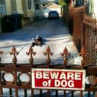 Beware Of Dog