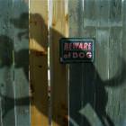Beware Of Dog