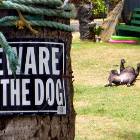 Beware Of The Dog