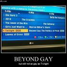 Beyond Gay