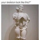 Big Boned