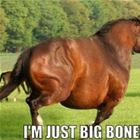 Big Boned